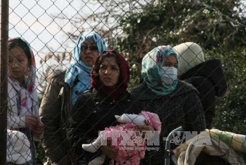 Европа нуждается в мигрантах в целях экономического развития